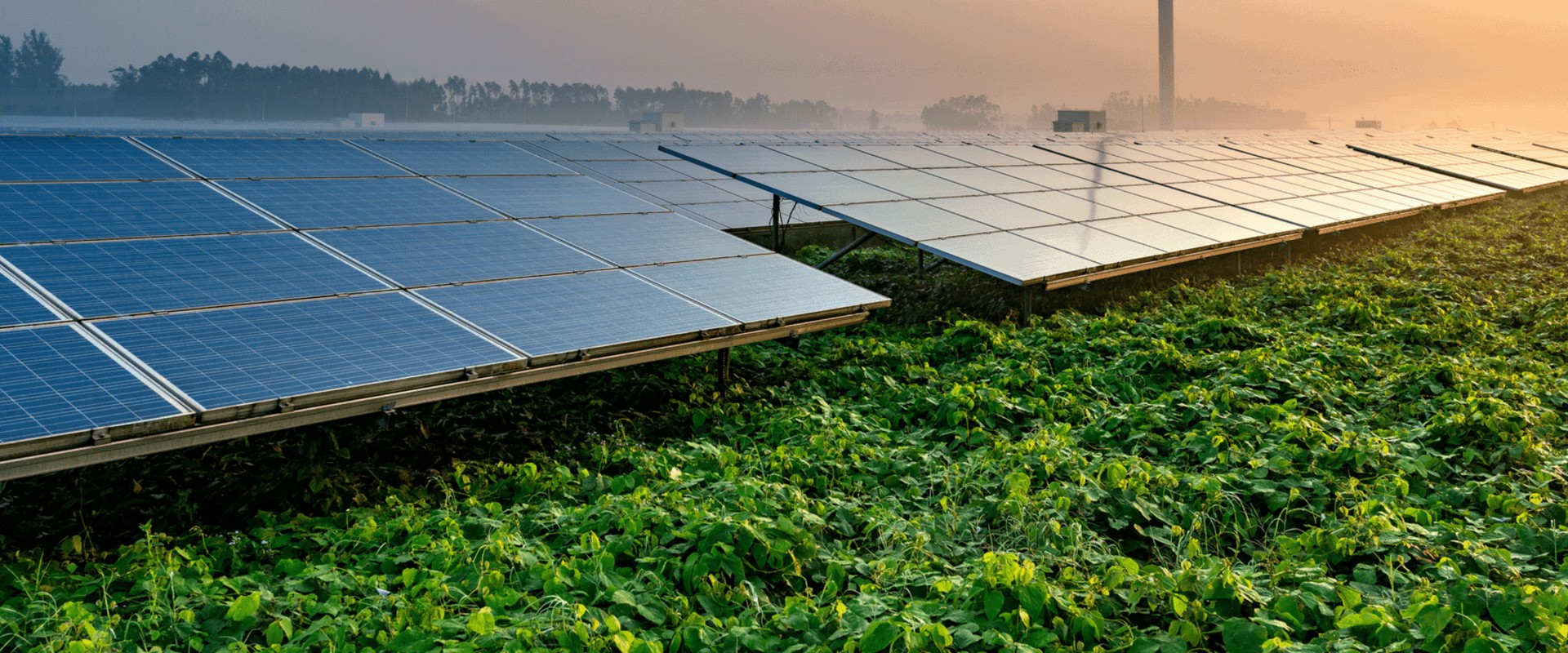 The Environmental Impact of Solar Power: Analyzing the Lifecycle of Solar Panels and Their Sustainability
